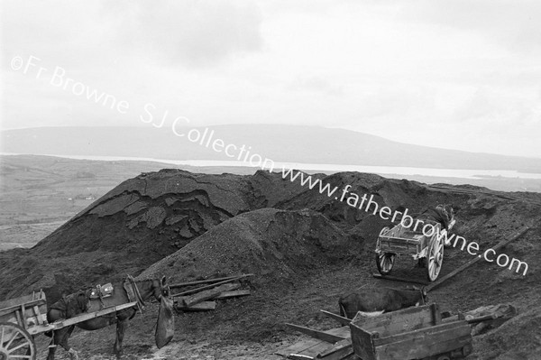 VIEWS OF COAL DUMPS AT MOUTH OF RIVER SHOWING LOUGH ALLEN SLIEVE ANEERIN AWAY TO N.E.